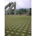 停車場植草磚10 - 大興水泥製品企業社
