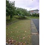 停車場植草磚11 - 大興水泥製品企業社