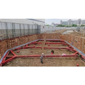 裕隆新店裕隆城開發案