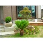 園藝造景 - 寶泉景觀設計有限公司