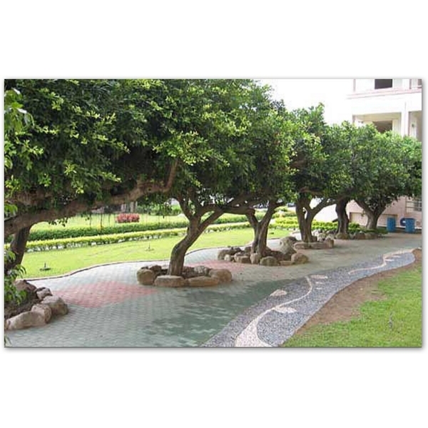 幼稚園景觀 幼稚園景觀,寶泉景觀設計有限公司