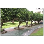 幼稚園景觀 - 寶泉景觀設計有限公司