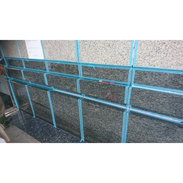 矽利康更新工程,潔新實業有限公司