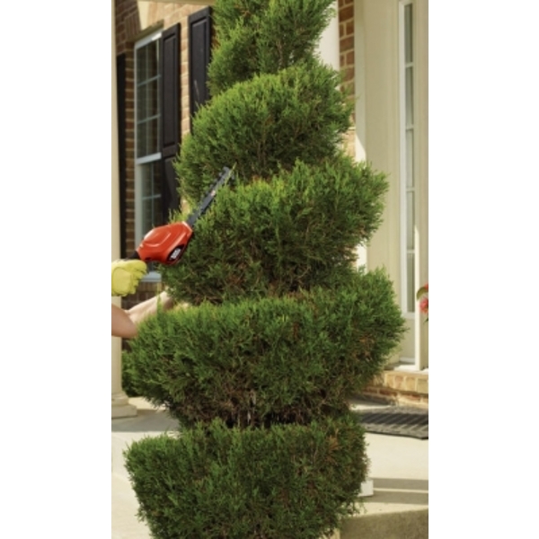 園藝修剪,東昇清潔工程有限公司