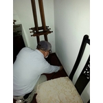 除蟲消毒工程 - 中華除蟲股份有限公司