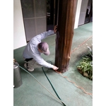 除蟲消毒工程 - 中華除蟲股份有限公司