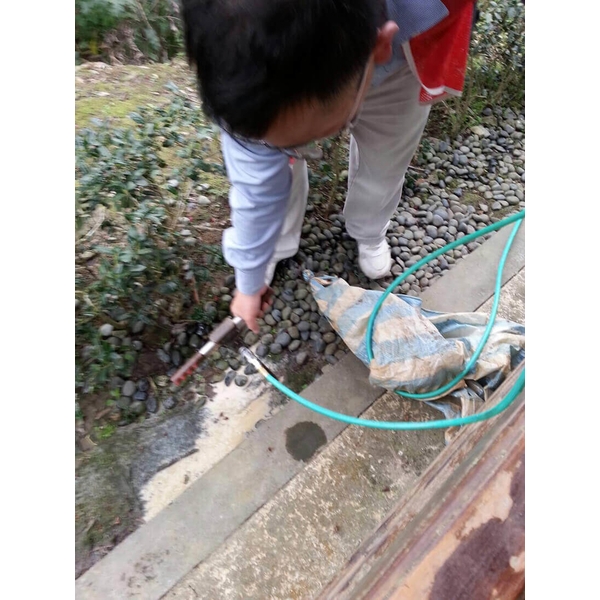 除蟲消毒工程-中華除蟲股份有限公司