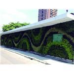 安全走廊及綠圍 - 鉑原企業有限公司