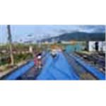 鋼筋籠施作 - 齊崴營造有限公司