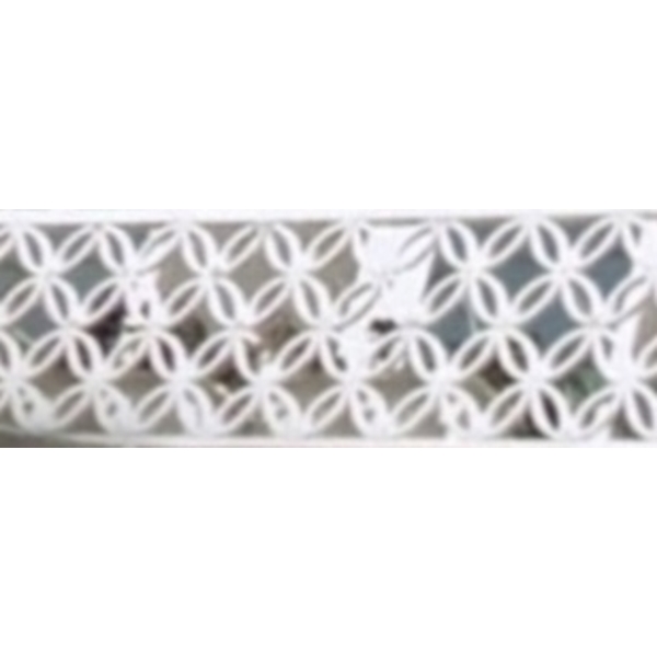 金錢花欄杆-冠昌不銹鋼有限公司