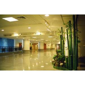 慈濟新店醫院二樓大廳