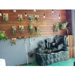 FRP假山水池 - 綠大山水造景景觀企業社