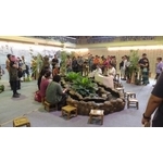 室內外造景工程 - 綠大山水造景景觀企業社