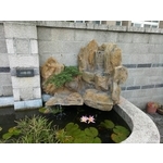 假山水池 - 綠大山水造景景觀企業社