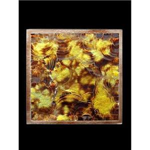 極光系列2 , 東亞國際企業有限公司