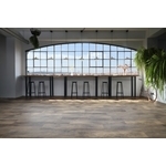 Pure Spectra頂級SPC地板-GWC385 , 富銘有限公司