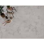 TRUE HIVE 歐風時尚六角磚系列-GTH203 , 富銘有限公司