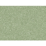 Primo/Eclipse Premium 整捲式地板-21010 680 , 富銘有限公司