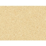 Primo/Eclipse Premium 整捲式地板-21010 661 , 富銘有限公司