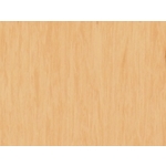 Standard Plus 整捲式地板-21003 485 , 富銘有限公司