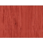 Standard Plus 整捲式地板-21003 488 , 富銘有限公司