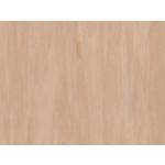 Standard Plus 整捲式地板-21003 914 , 富銘有限公司