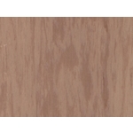 Standard Plus 整捲式地板-21003 915 , 富銘有限公司