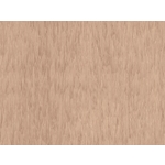 Vylon Plus 整捲式地板-587 , 富銘有限公司