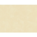 Wetroom Concept 整捲式地板-3942027 , 富銘有限公司