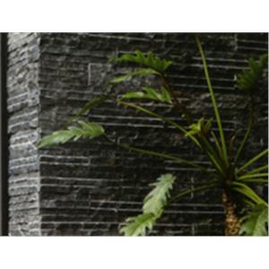 一般型,慶繹有限公司