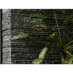 一般型 , 慶繹有限公司