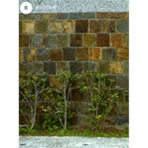 板岩一 , 慶繹有限公司