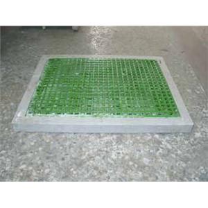 圓鼎國際 , 圓鼎國際股份有限公司