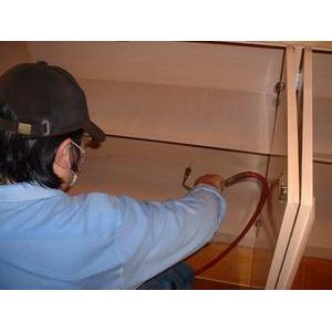 粉蛀蟲灌注處裡