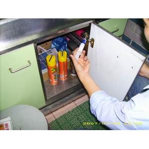 蟑螂防治施點餌膠3