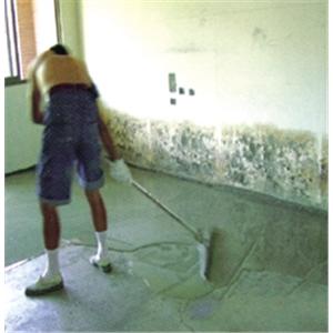 自平式砂漿地坪工程