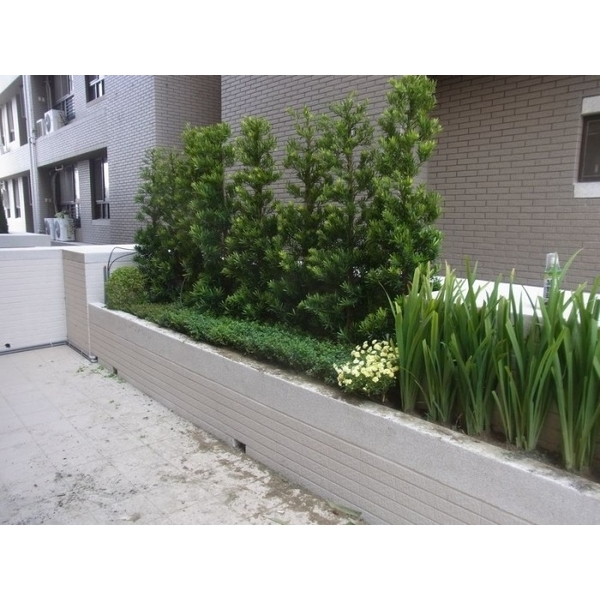 九上建設,曹聖科技建材有限公司