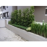 九上建設 - 曹聖科技建材有限公司