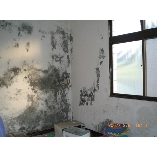 居家整修屋頂壁癌-曹聖科技建材有限公司