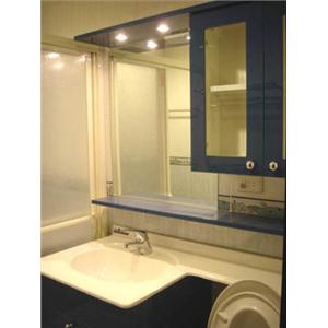 整體衛浴系統櫃,浴室防水,住宅改造,精緻修繕,泥作細工