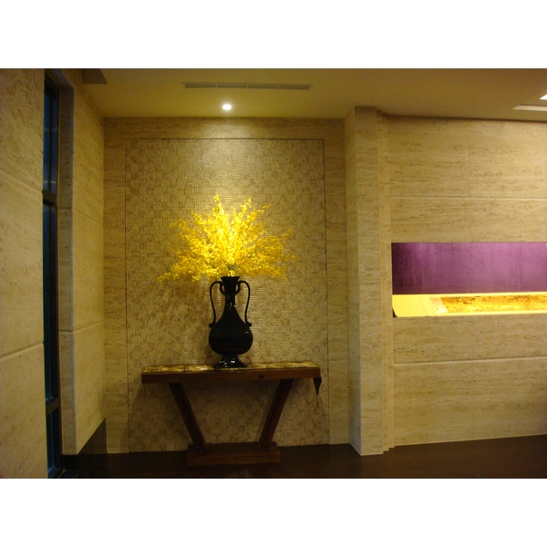 07 DSC03295 YFS003-A3H1耀東方s