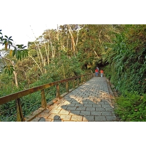 日月潭慈恩塔至頭社步道