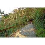 日月潭慈恩塔至頭社步道 - 中北塗料企業股份有限公司