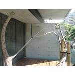 後製清水換凝土系統 - 竣淵工程有限公司