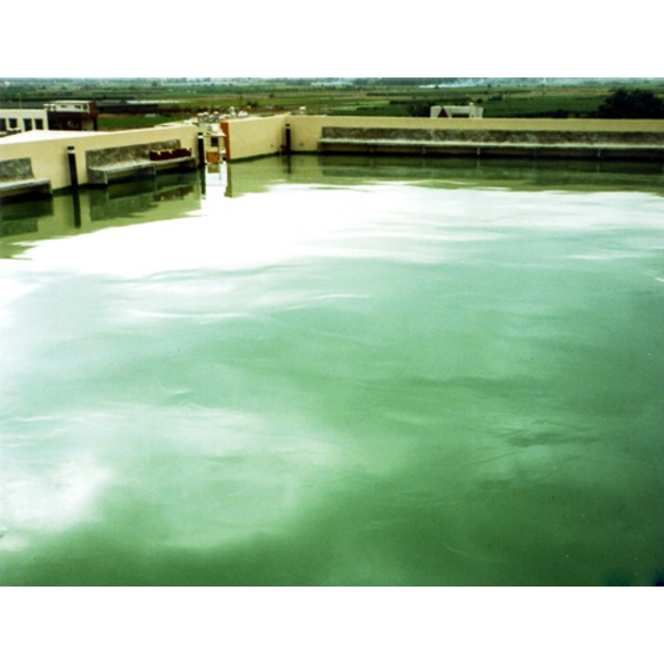 民宅屋頂 PU 防水工程