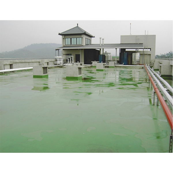 童年渡假飯店屋頂 PU 防水工程