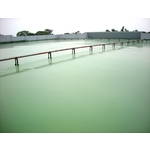 嘉義市蘭潭國中屋頂 PU 防水工程 - 慶泰樹脂化學股份有限公司