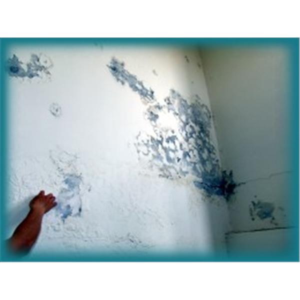 壁癌處理 壁癌處理,上銘防水工程有限公司