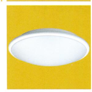 OPAL DIFFUSER 崁燈22-28W , 佳翁照明設備有限公司