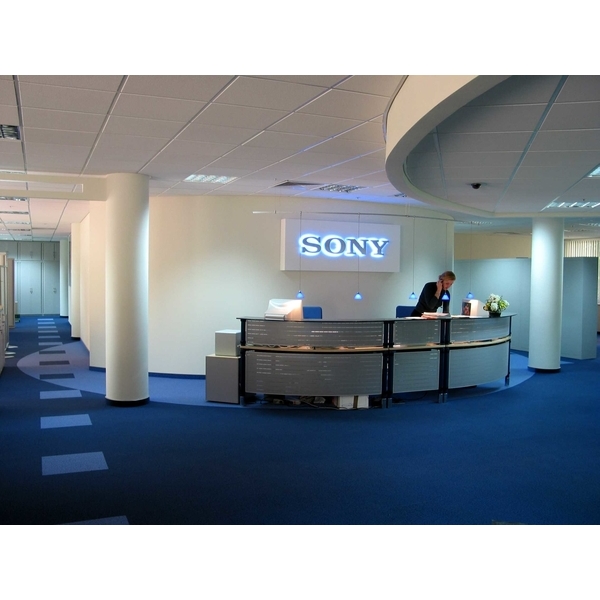 Sony,錦鍾實業有限公司